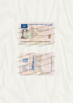 ireland drivers license template