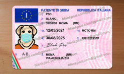 italy drivers license template