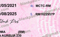 Italy Drivers License Template New V2 5 blank italy driver license