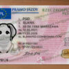 Poland Drivers License Template New 2019 11 poland drivers license template