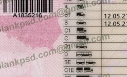 Poland Drivers License Template New 2019 8 poland drivers license psd