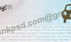 blank turkey driver license