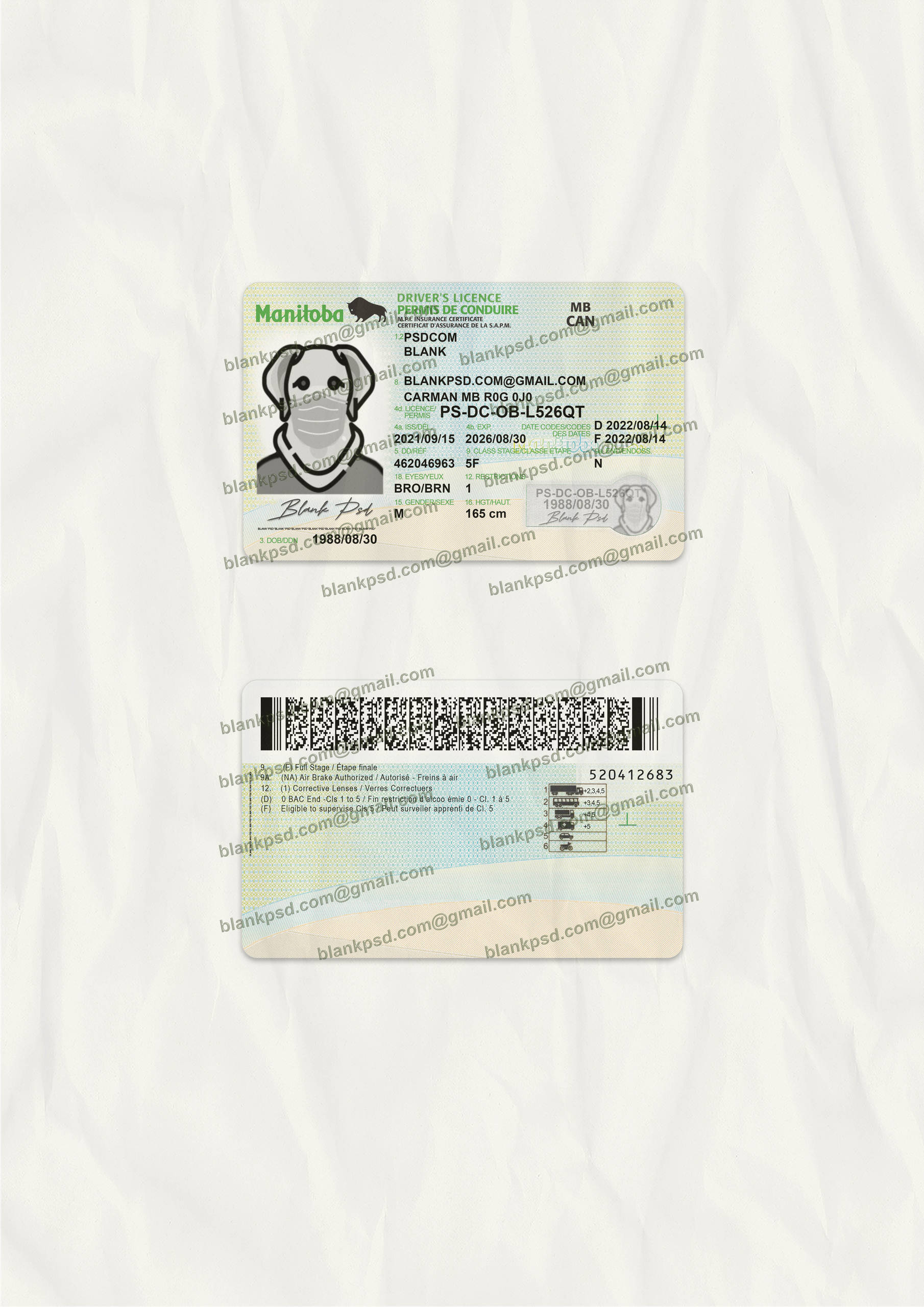 Manitoba Drivers License Template New V1 - Blank PSD