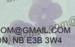 new brunswick canada driving licence template