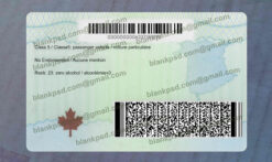 new brunswick drivers license back