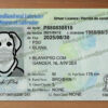 newfoundland drivers license template 01