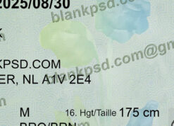 fake newfoundland and labrador drivers license