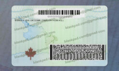 newfoundland and labrador drivers license back