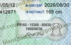 blank ontario driver license