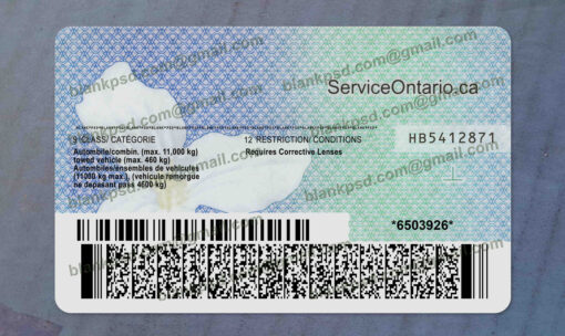 ontario drivers license back