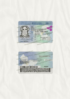 fake ontario driver license