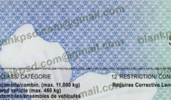 on drivers license template