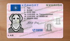 sweden drivers license template