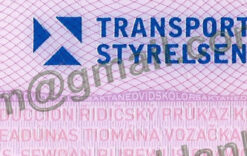 blank sweden driver license