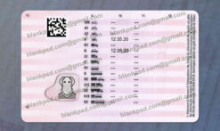 sweden drivers license back