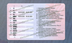 kyrgyzstan driver license back