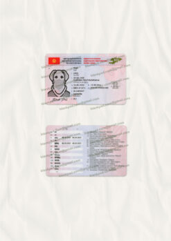 fake kyrgyz driving licence