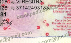 blank lithuania driver license