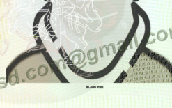 blank identity card lithuania