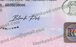blank romania driver license