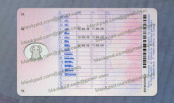 romania drivers license back