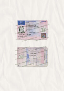 romania drivers license template
