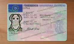 fake german drivers license