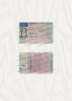 german driver license psd