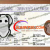 Fake Virginia Drivers License New V2 7 Fake Virginia Drivers License