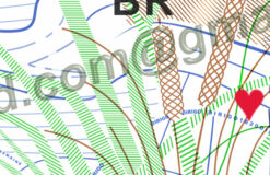 blank maine driver license