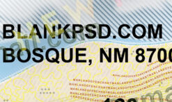 fake new mexico driver license