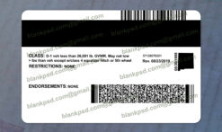 new mexico driver license back