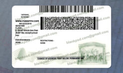 massachusetts id back