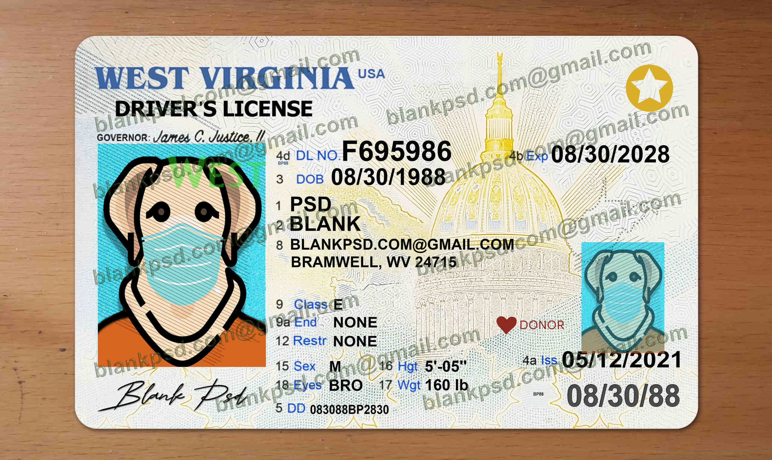 West Virginia Drivers License Template New V2 Blank PSD