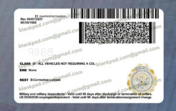 back of utah drivers license