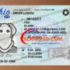 ohio drivers license template