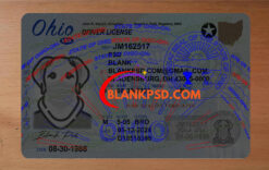 fake ohio drivers license