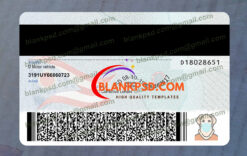 back of ohio drivers license