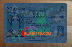 maine drivers license hologram
