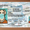 maine drivers license template