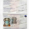 french passport psd