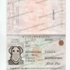 hungary passport template psd