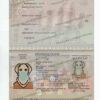 italian passport psd template