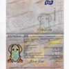 Spain Passport Template Psd