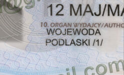 poland passport template