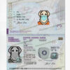 Sweden Passport Template Psd New V2 6 sweden passport template psd