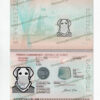 turkey passport template psd