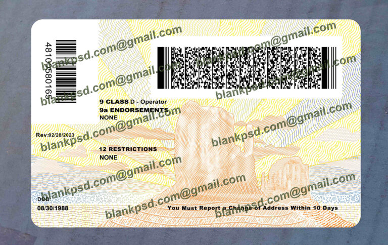 Arizona Drivers License Template New V2 2024 - Blank PSD