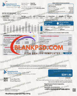 fake utility bill va