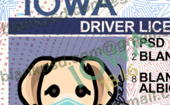ia driver license psd